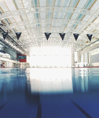 Natacion online Madrid