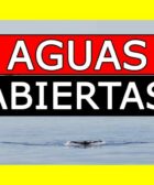 Nadar en Aguas Abiertas