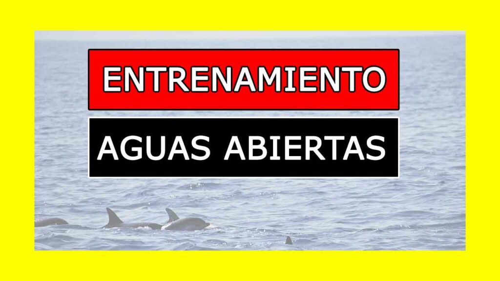 Entrenamiento de Natación Aguas Abiertas pdf