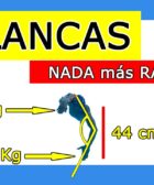 VideoAnalisis Natacion